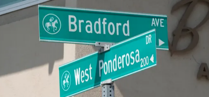 Failed Attempt at Suicide by Cop