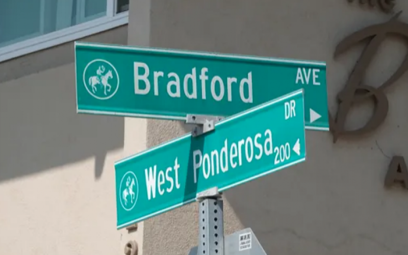 Failed Attempt at Suicide by Cop