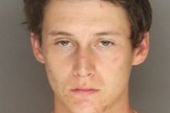 Stalking and Evading Arrest