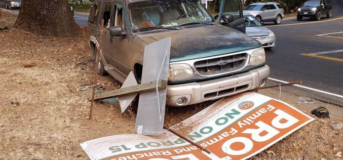 El Dorado County Sheriff: Man arrested after allegedly exposing himself to child