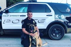 Two arrested in commercial burglary