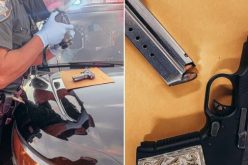 Suspect on the “Lam” caught with gun