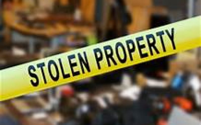Male and two juveniles arrested for theft of property