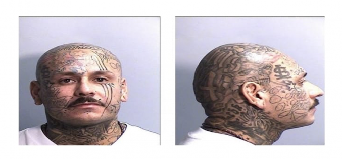 Wanted suspect spotted, arrested in Susanville