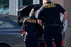 Couple Accused of Breaking into Cars at County Parks to Steal Credit Cards