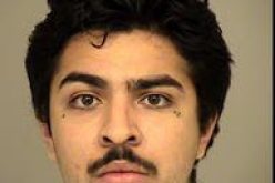 Serial Baby Formula Thieves Arrested