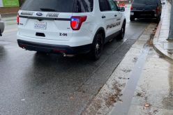 Stolen vehicle’s driver on parole for burglary