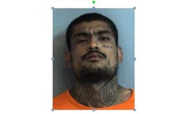 Man shot to death in Willows