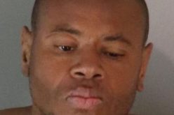 MAN STEALS CITY VEHICLE AND LEADS OFFICERS IN PURSUIT