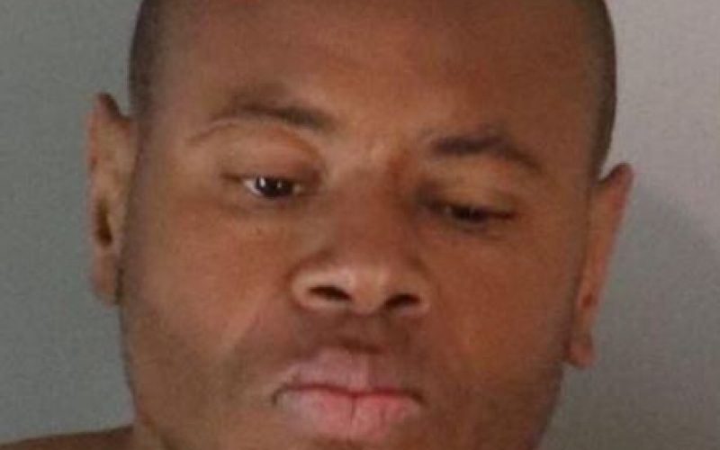 MAN STEALS CITY VEHICLE AND LEADS OFFICERS IN PURSUIT