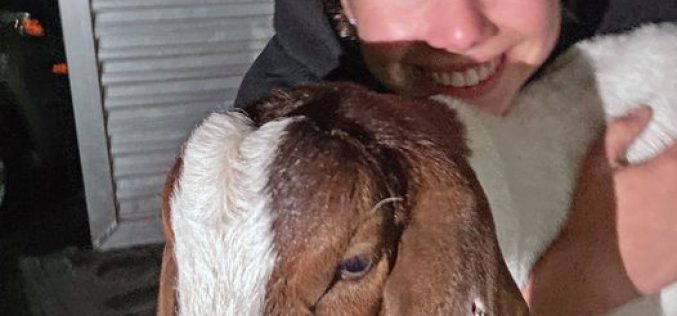 Animal Rights Activist Steals Goat