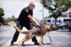 Ax-Wielding Schizophrenic Man Arrested for Robbery and Assault With a Deadly Weapon on a Police Officer