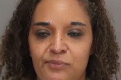 Suspicious vehicle driver tries to escape, rams patrol car