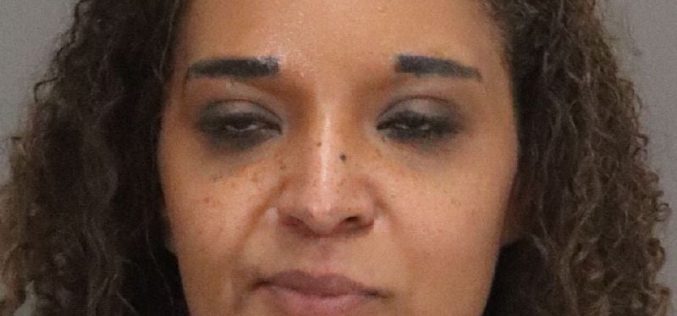 Suspicious vehicle driver tries to escape, rams patrol car