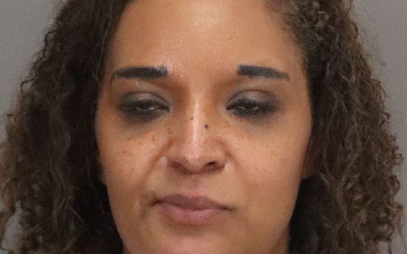 Suspicious vehicle driver tries to escape, rams patrol car