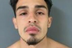 Police Arrest Suspect in Arson and Vandalism Cases