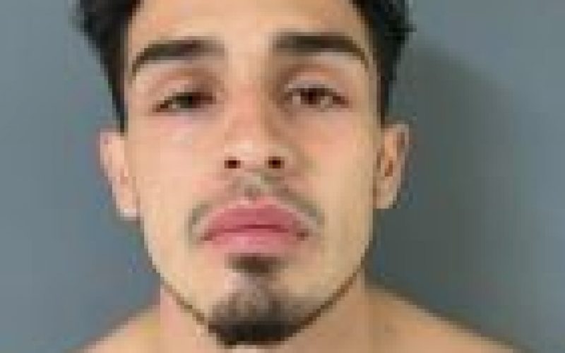 Police Arrest Suspect in Arson and Vandalism Cases