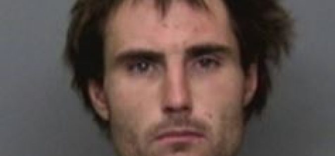 K9 Ace apprehends assault suspect