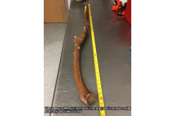 Assault w/ a Deadly Weapon, Hate Crime, and Elder Abuse