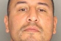 Illegal Pot Grow Leads to Weapons Charges