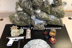 Man runs and revs truck for 90 minutes with weed inside