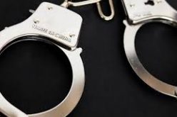 Four juveniles arrested for numerous violations, released to parents