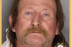 HOMICIDE INVESTIGATION ON LONG BRANCH DRIVE IN NORTH SACRAMENTO