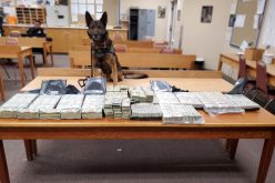 Merced CHP K-9 Officer Beny finds over $1M in suspected drug money during traffic stop
