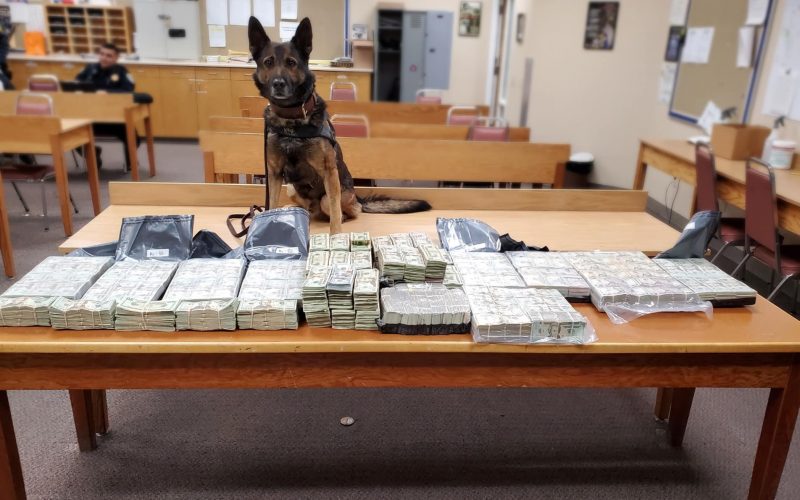 Merced CHP K-9 Officer Beny finds over $1M in suspected drug money during traffic stop