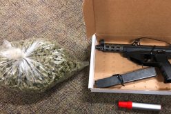 Vehicle check yields marijuana and stolen gun