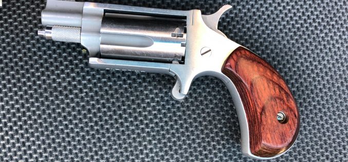 Stolen handgun confiscated, two arrested during traffic stop