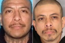 Two arrests in December 23 Sandman Park shooting