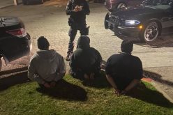 Two gang members arrested in gun and gang charges