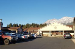 Idling vehicle stolen, recovered in less than an hour