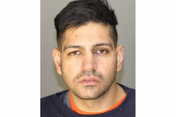 Man arrested on numerous outstanding warrants after alleged theft