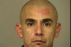 Bicycle Thief Caught with Felony Warrant Suspect