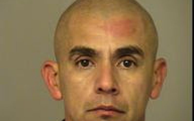 Bicycle Thief Caught with Felony Warrant Suspect