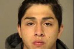 Traffic Stop Leads to Firearms Bust