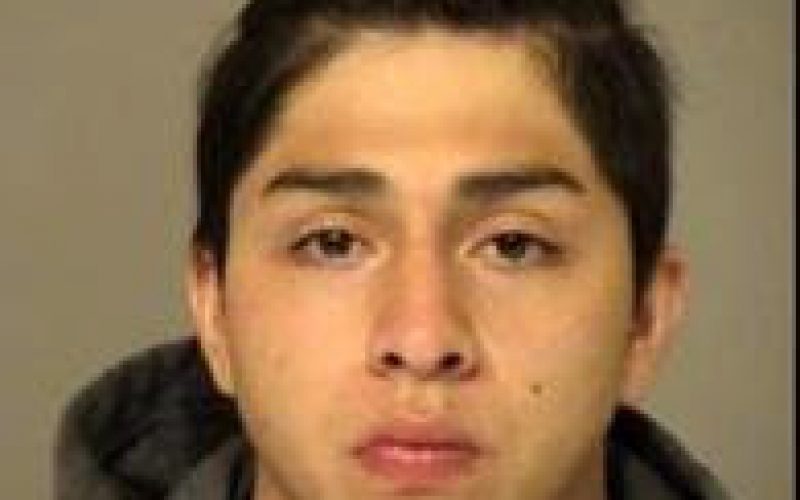 Traffic Stop Leads to Firearms Bust