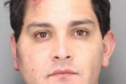 Suspects Wrestle with Cops, Lose the Fight