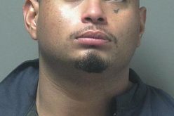 Suspect Fails To Outrun K9 Deputy To Avoid Arrest