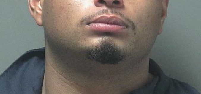 Suspect Fails To Outrun K9 Deputy To Avoid Arrest