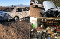 100 stolen vehicles recovered from two chop shops