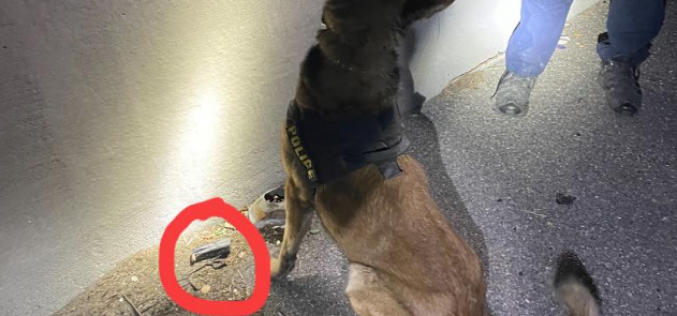 Driver of speeding Volkswagen throws gun out of the window