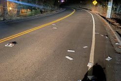 Mailbox thief throws mail out of his van