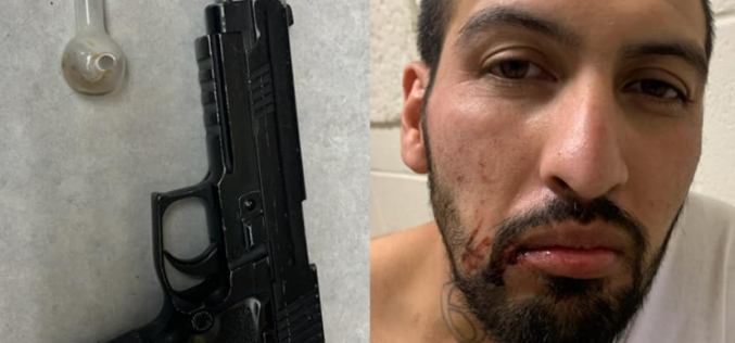 Long Car Chase Ends With K9 Officer Taking Down Suspect