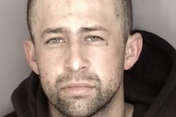 Man ransacks vehicle, punches owner in face