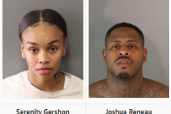 Not a Safe Exchange – Duo Transacts French Bulldog Robbery at Gunpoint