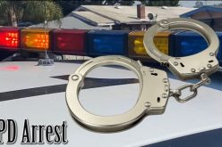 26-Year-old Man Faces 30 Charges Involving a Woman’s Murder