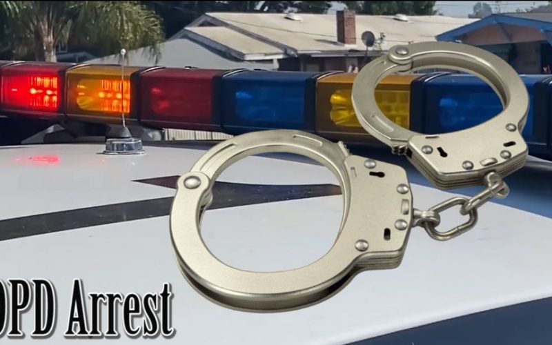 26-Year-old Man Faces 30 Charges Involving a Woman’s Murder